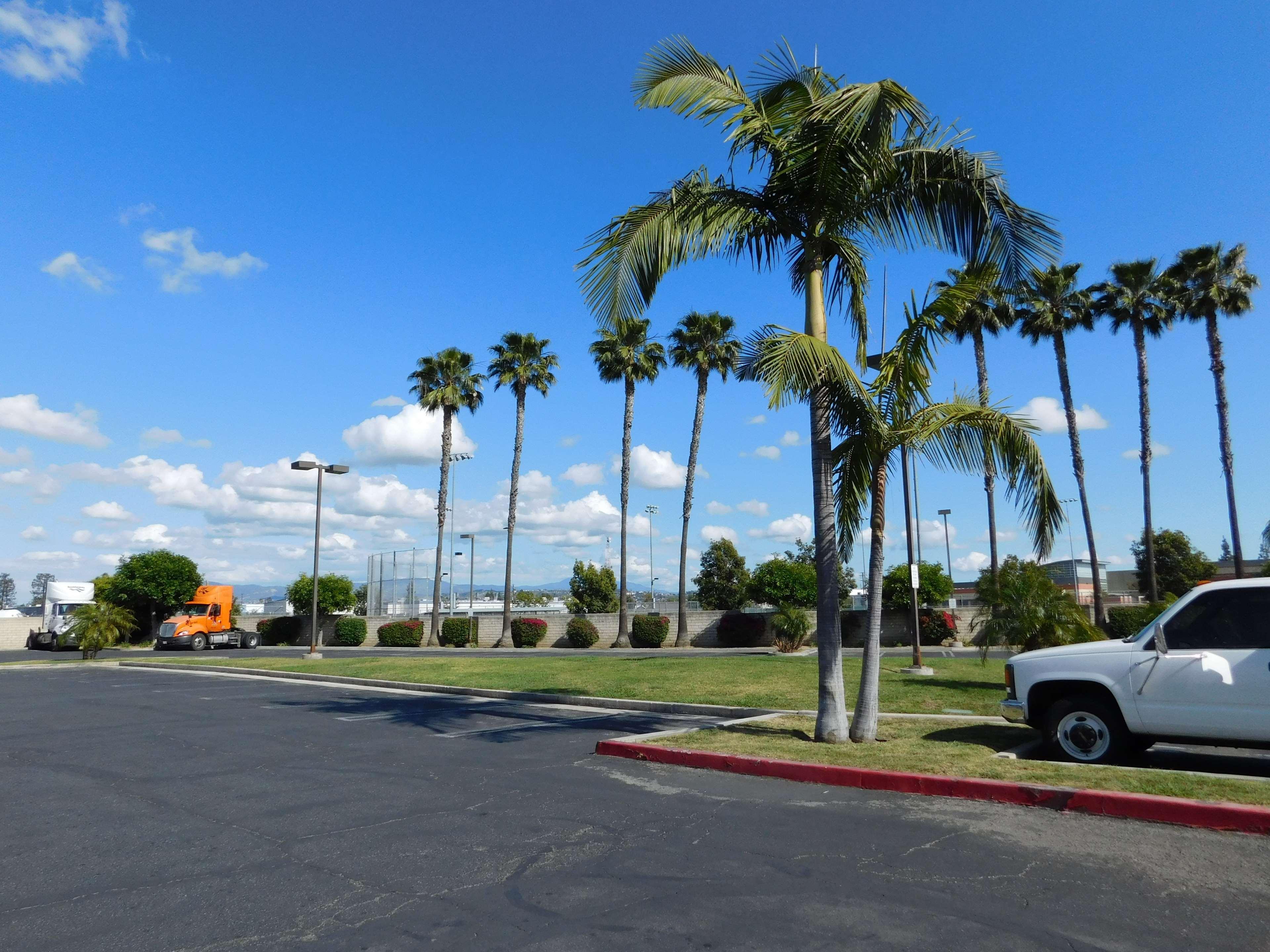 Best Western Plus - Anaheim Orange County Hotel Placentia Ngoại thất bức ảnh